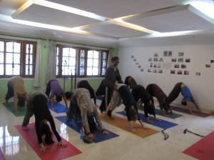 Best Yoga School in Goa
